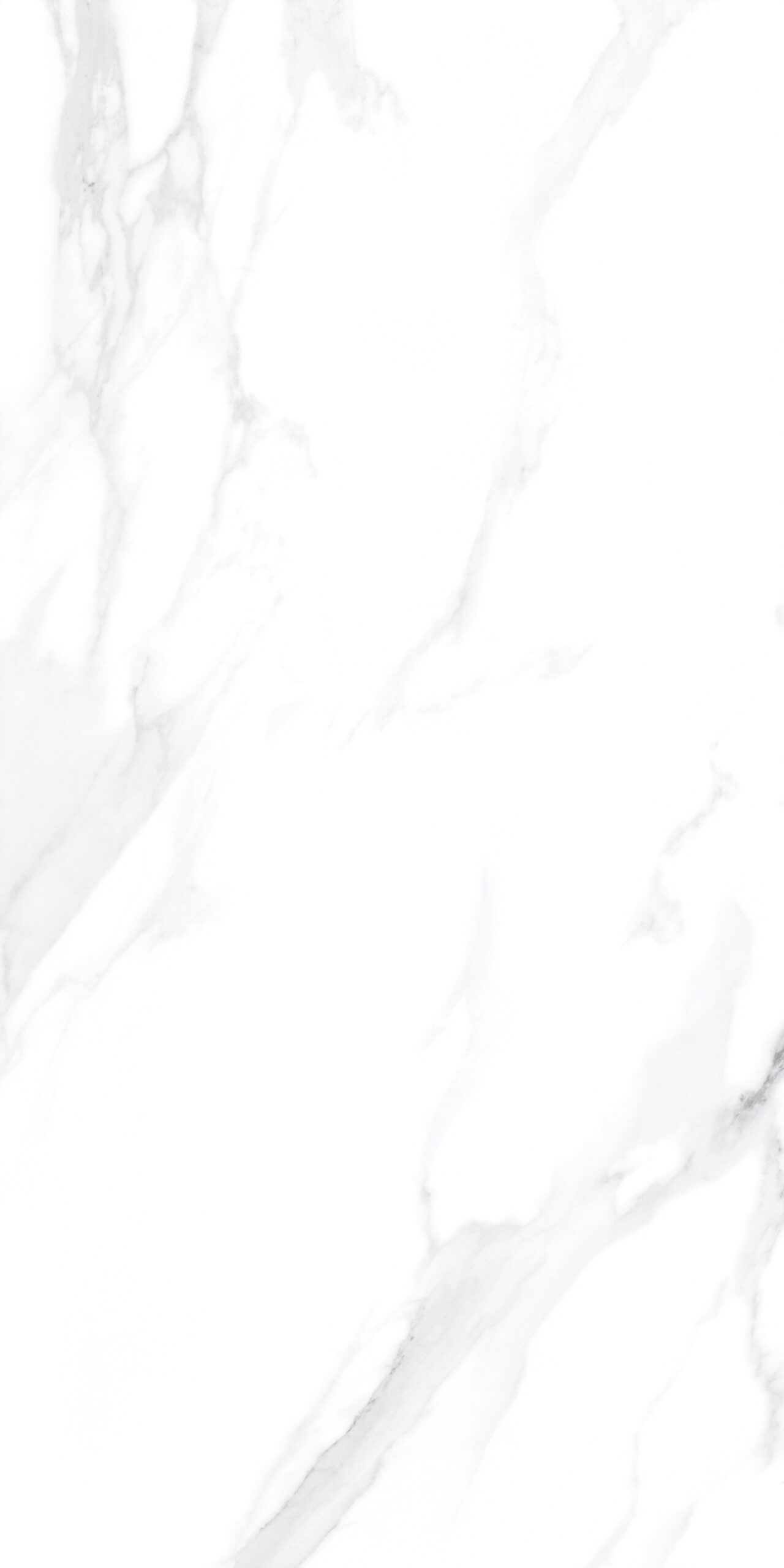 Carrara White Matt Tiles 600x1200mm Matt Porcelain Wall & Floor Tile - Image 6