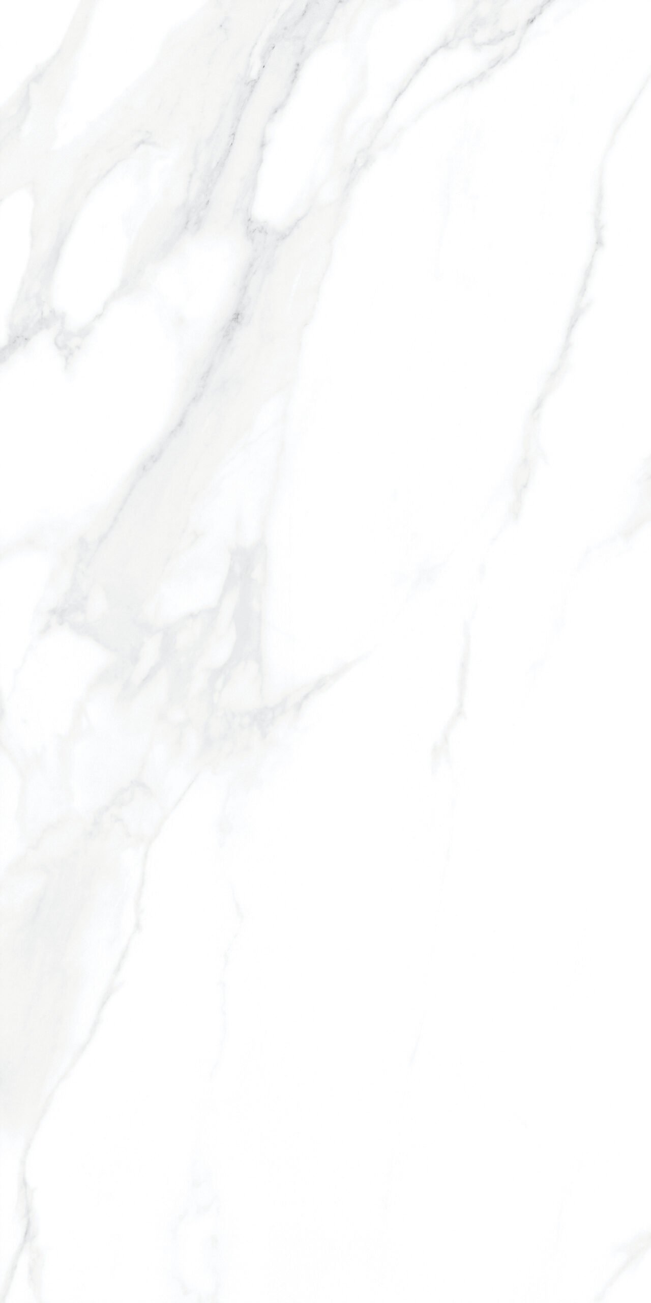 Carrara White Matt Tiles 600x1200mm Matt Porcelain Wall & Floor Tile - Image 7